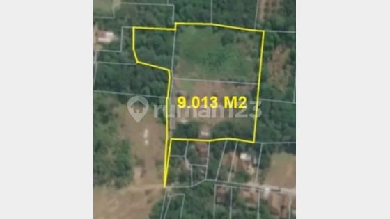 di jual Tanah luas 9013 meter surat SHM Cikeusal Serang banten - Ryan