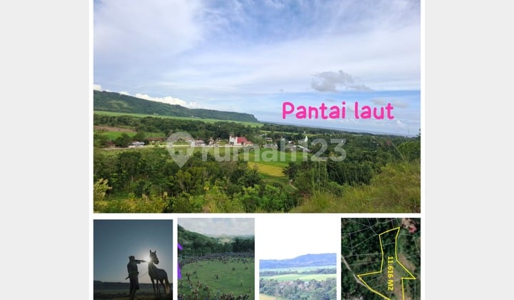 Jual Tanah 1 Hektar Wanokaka Sumba Barat Nusa Tenggara Timur
