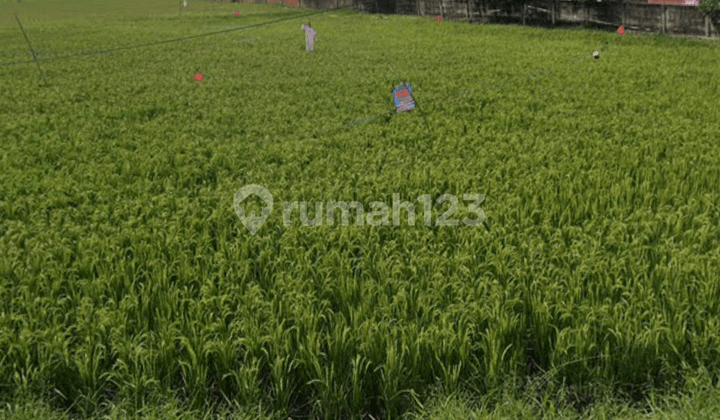 Tanah Kavling Babelan Marunda 10000M