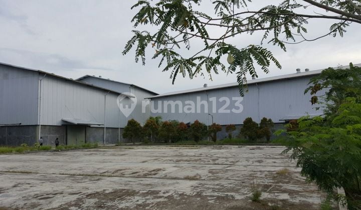 Factory for Sale on Jl Teluk Lada Panimbang, Pandeglang Regency