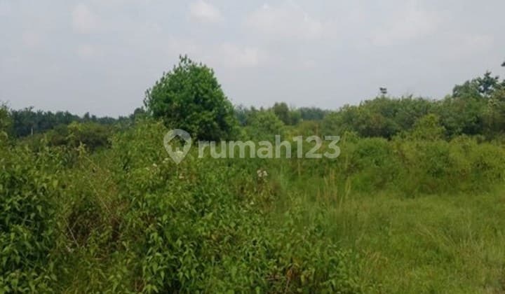 Tanah Dijual Murah di Jl Gubernur Asnawi Mangku Alam Palembang