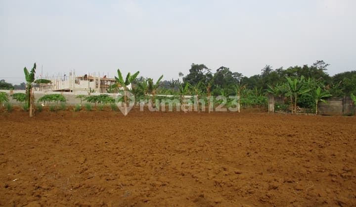 Tanah Dijual di Jl Rancamaya Bojongkerta Bogor Selatan