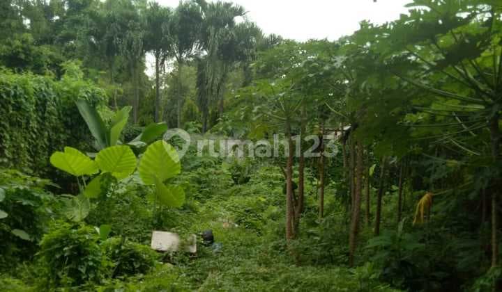 Dijual Tanah Area Pluit