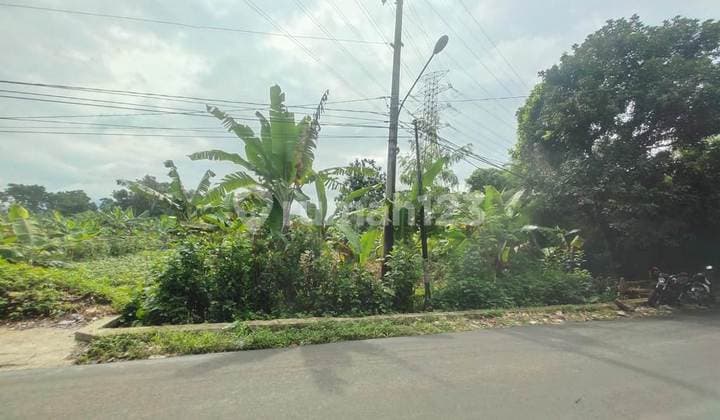 Tanah di Jalan Ciherang Bong,cikeas,sukaraja, Bogor SHM 1.200 m²