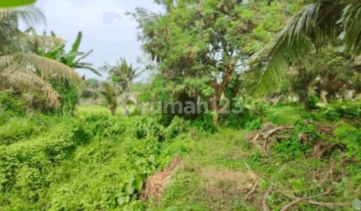 Tanah Kavling Eksklusif di Jalan Pantai Saba - Siap Bangun, Dekat Pantai dan Kawasan Wisata