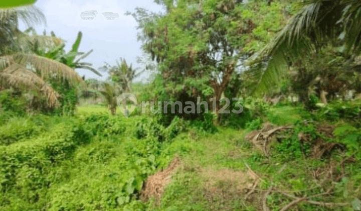 Tanah Kavling Eksklusif di Jalan Pantai Saba - Siap Bangun, Dekat Pantai dan Kawasan Wisata