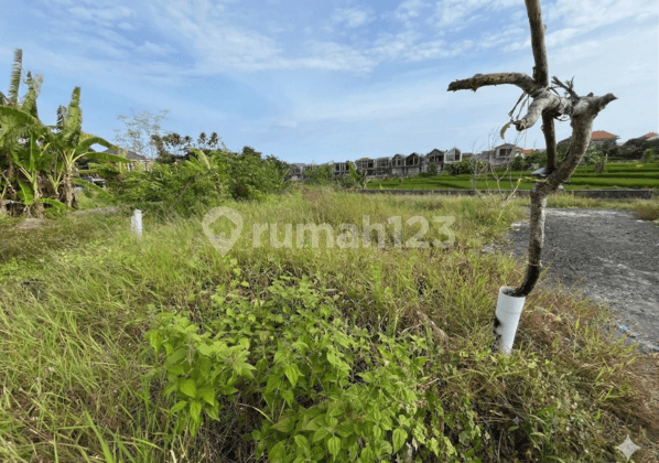 Tanah Strategis 140 M² Area Gunung Salak Denpasar Barat - Lingkungan Villa Elit dengan View Sawah