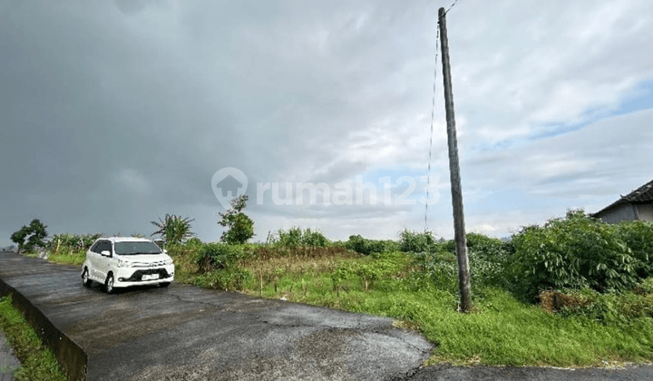 Tanah Kavling SHM di Kediri Tabanan – Lokasi Strategis Dekat Fasilitas & Wisata