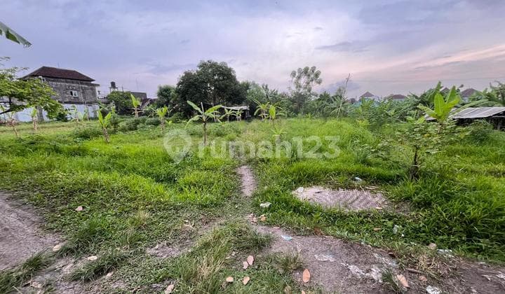 TANAH STRATEGIS 5 ARE DI DALUNG, COCOK UNTUK INVESTASI JANGKA PANJANG