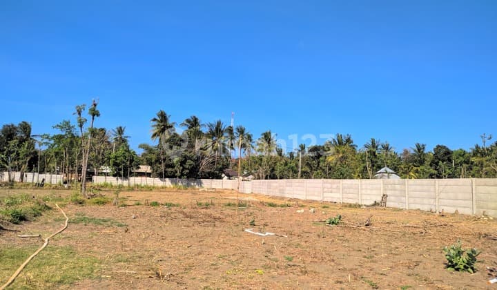 Lahan 3 Hektar di Kuta Lombok - Momentum Investasi di Kawasan Mandalika