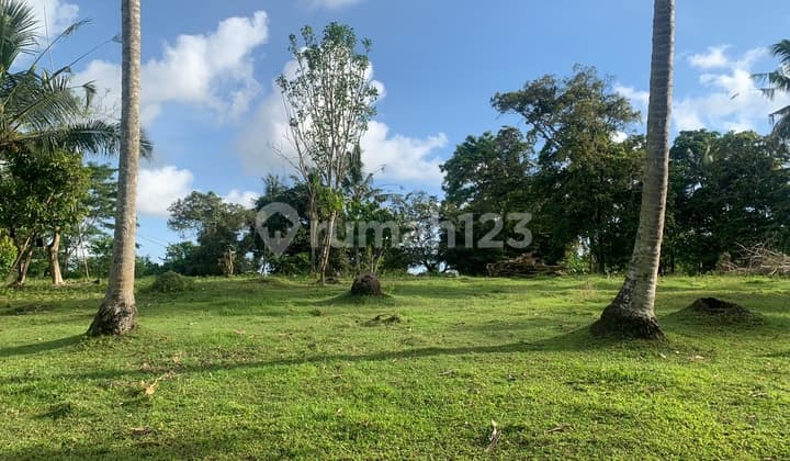 Tanah Luas 1,1 Hektar di Selemadeg Barat Tabanan - View Sungai, Cocok untuk Pabrik, Cluster Perumahan atau Investasi Besar
