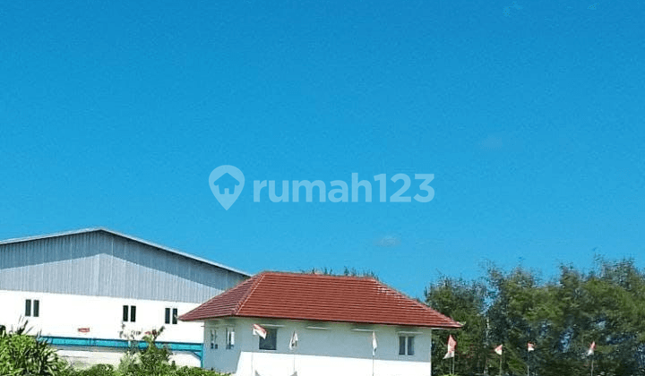 Tanah Strategis di Jalan Raya Benoa - Dekat Tol & RS Bali Mandara Tanah Strategis di Jalan Raya Benoa - Dekat Tol & RS Bali Mandara