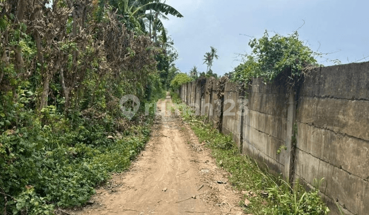 Tanah Luas Strategis di Gerokgak – Cocok untuk Perumahan Dekat Pantai & Fasilitas Umum