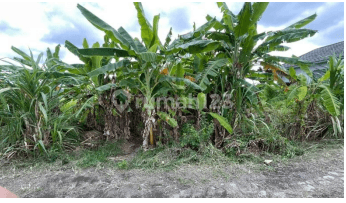 Tanah Kavling SHM di Singapadu Sukawati - Lokasi Strategis, Siap Bangun di Kawasan Perumahan