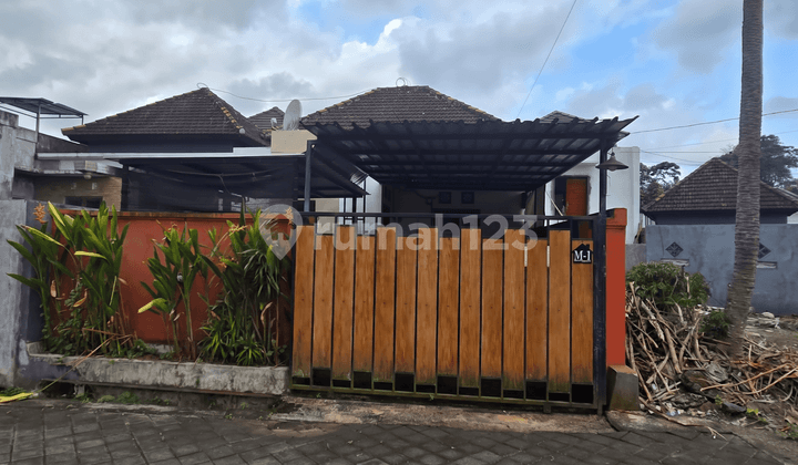 Auction House with Freehold Title (SHM) and Building Permit (IMB) in Tabanan - 2 Bedrooms, Price Reduced to 390 Million IDR!
