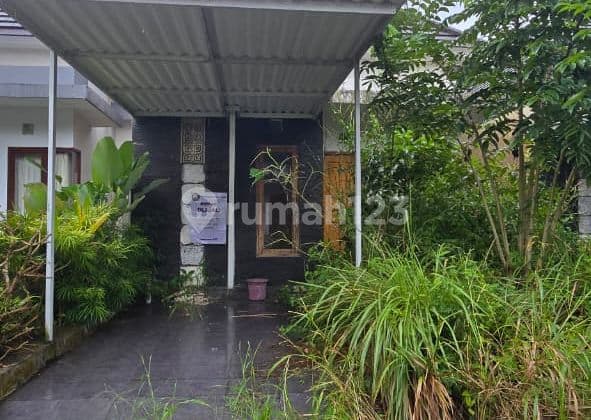 Cheap Auction House in Tabanan - Land 91 M², SHM, Price 375 Million!