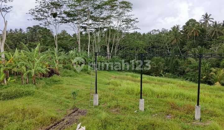 Tranlation into English:
Premium Land Plot on the Denpasar-Singaraja Roadside in Mengwi, Badung | Suitable for Villa & Investments