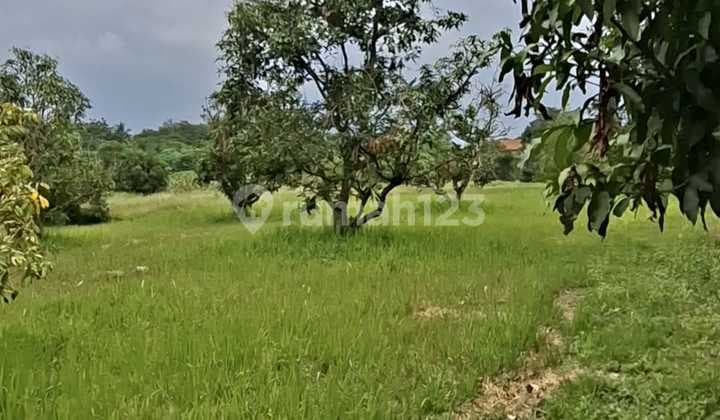 Dijual Lahan Padat Siap Pakai Zona Industri Tigaraksa
