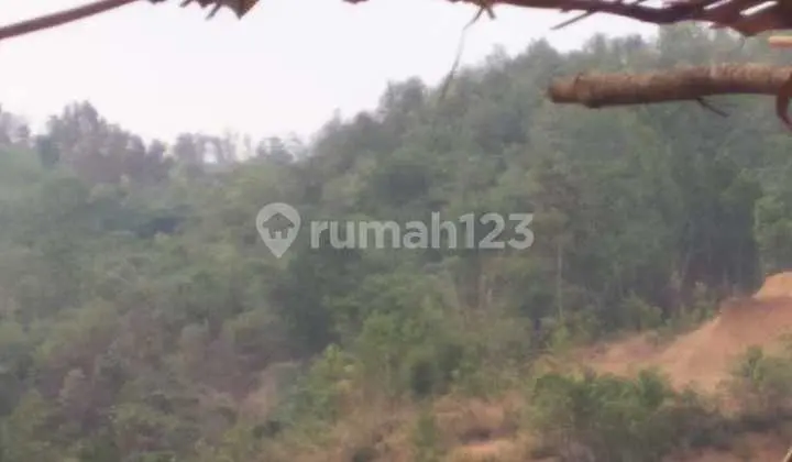 Fast Sale Land on Jl. Raya Jonggol, Bogor Regency, West Java