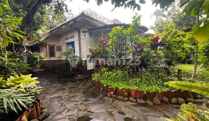 Jual Rumah Tua Gaya Kolonial