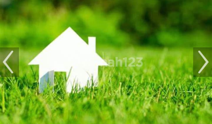 Brooklyn Plot area 1164m cheap