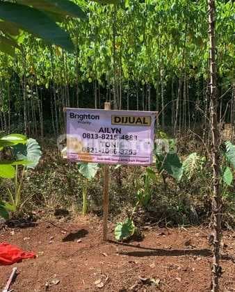 Tanah Kavling 300m² Di Dekat Sman 10 Bojong Sari Depok , Jawa Barat