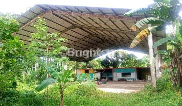 TANAH LUAS DEKAT PEMUKIMAN RAMAI PENDUDUK DI BABAKAN MADANG, SUMUR BATU, SENTUL, BOGOR