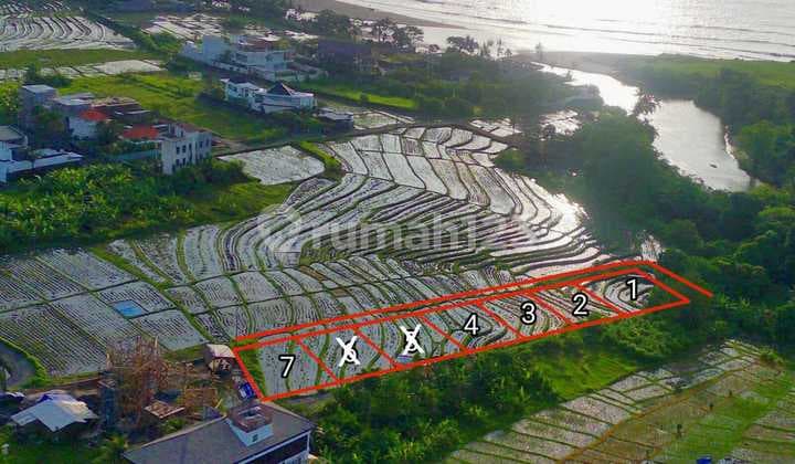 DIJUAL TANAH KAVLING LINGKUNGAN VILLA VIEW SAWAH PANTAI CEMAGI BALI