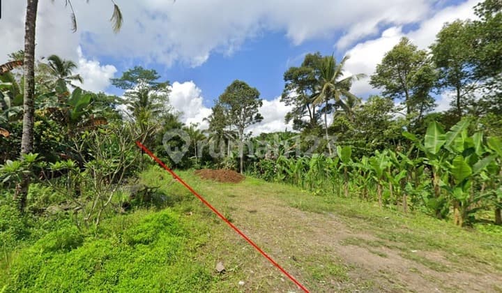 Dijual tanah 12 are SHM di Jalan Payangan Bukian Ubud