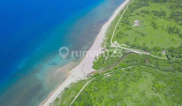 Di Jual Tanah Beachfront Mamboro Sumba Tengah