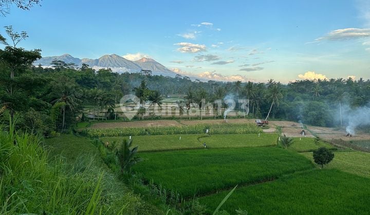 For Sale Land for Villa and Cottage in Batukliang, Central Lombok