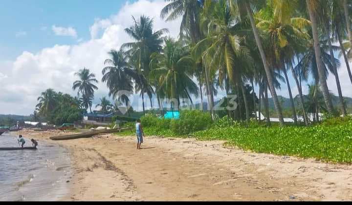 Di jual murah tanah strategis dan negosible di bari labuan bajo