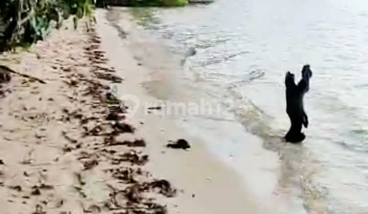 Di jual tanah murah, strategis dan Negosible labuan bajo