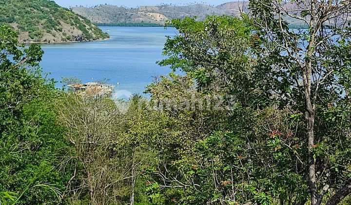 Di jual tanah murah strategis dan Negosible