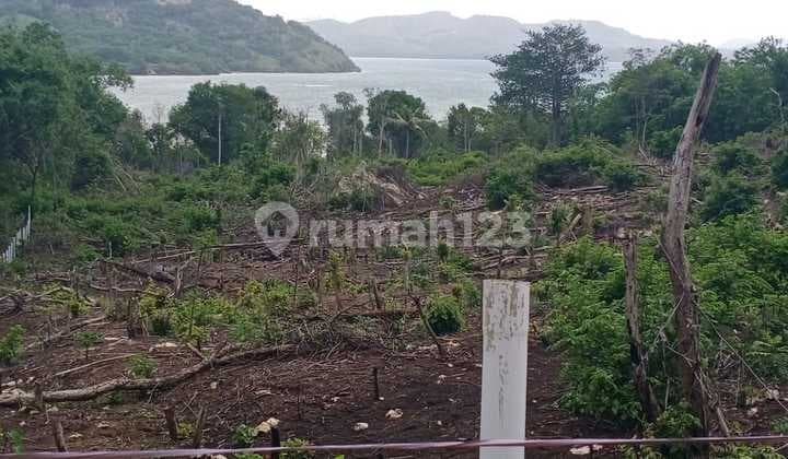 Di jual tanah di lokasi strategis labuan bajo