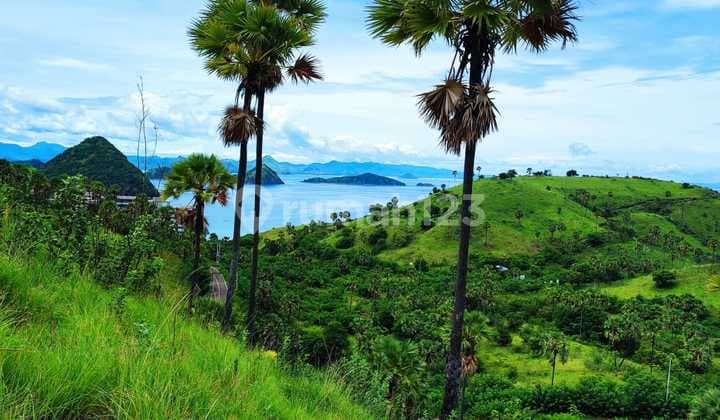 Di jual tanah strategis dan negosible, sunat dan view laut.