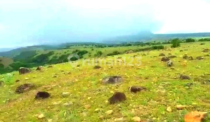 Di Jual Tanah Murah Benteng Dewa View Laut Lembor Labuan Bajo