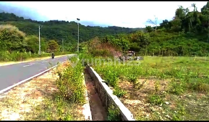 Di jual tanah murah depan jalan pantura labuan bajo