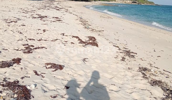Di Jual Tanah Strategis Pantai di Pulau Mules Labuan Bajo