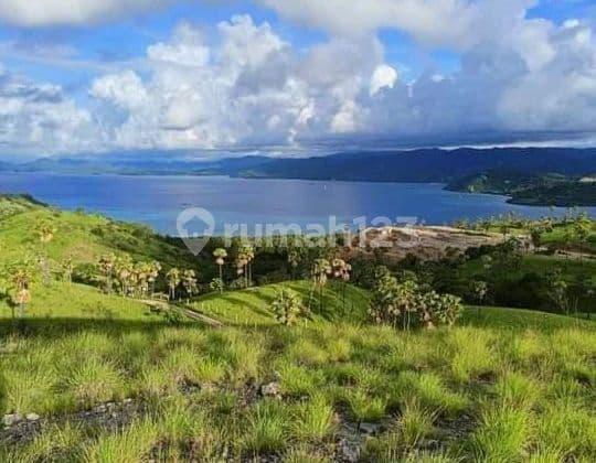 Di jual tanah view terbagus di jalan premium labuan bajo