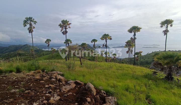 Di jual tanah view abadi wae cucu labuan bajo