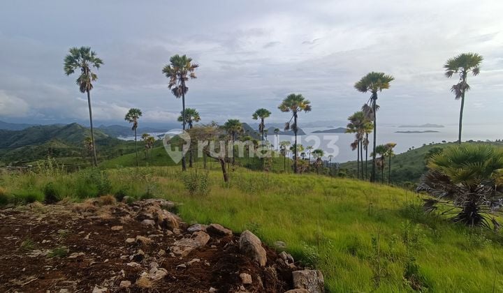 Di jual tanah view abadi wae cucu labuan bajo