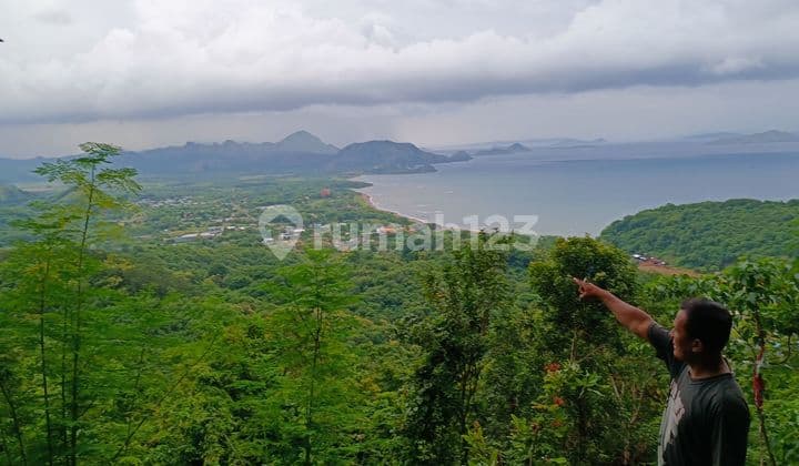 Tanah view abadi dan strategis si tengah kota labuan bajo