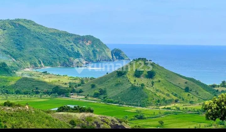 Di jual tanah view bagus di bukit kawin lombok tengah
