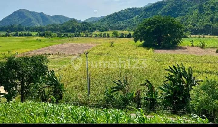Di jual tanah untuk villa di selong belanak lombok tengah