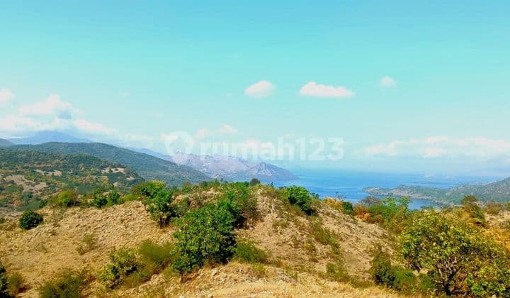Di Jual Tanah View Laut Negosible Di Warloka Labuan Bajo