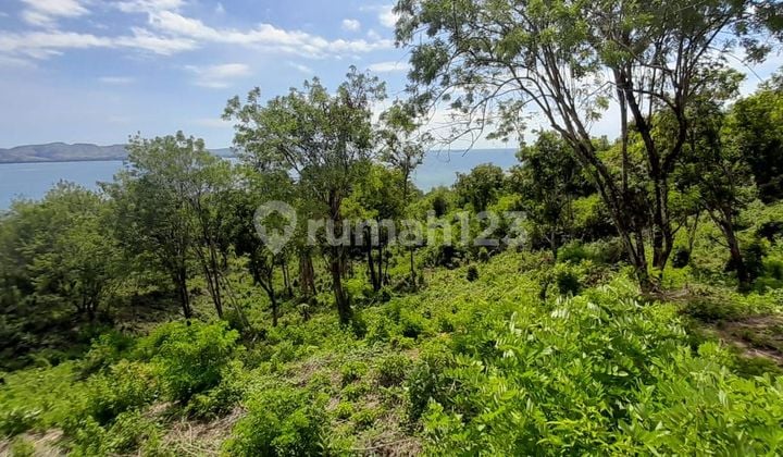 Di Jual Tanah Langsung Pantai Dekat Kota Labuan Bajo