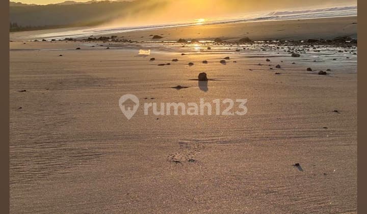 Dijual Lahan Langsung Pantai Cocok Investasi di Sumba Timur