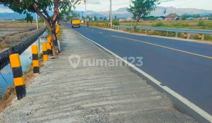 Di Jual Tanah Strategisdepan Jalan Tras Sumbawa Bima