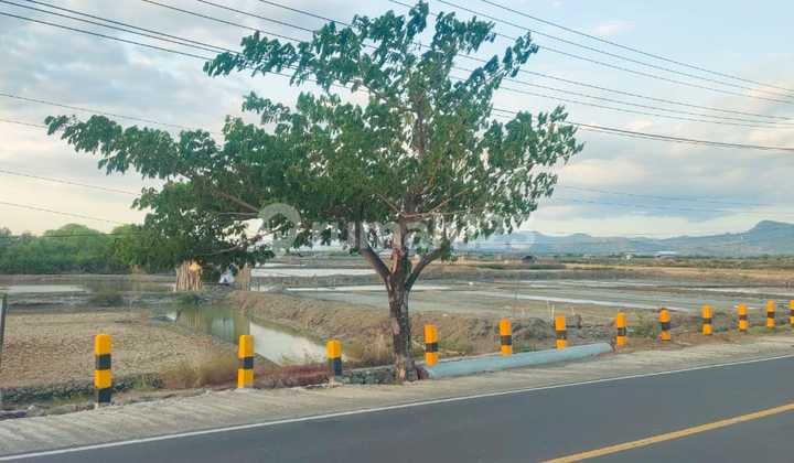 Di Jual Tanah Murah Depan Jalan Trans Sumbawa Bima
